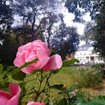 Photo n°1 de l'avis de Aline.c fait le 06/10/2019 à 06:39 sur le  Hotel Schloss Teutschenthal à Teutschenthal