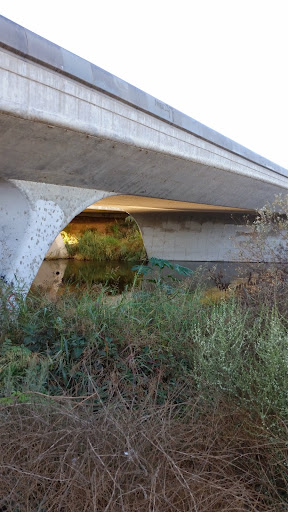 Golf Course «Balboa Golf Course», reviews and photos, 16821 Burbank Blvd, Encino, CA 91436, USA