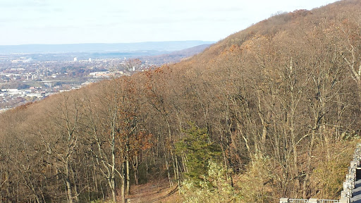 Landmark «The Pagoda», reviews and photos, 98 Duryea Dr, Reading, PA 19602, USA