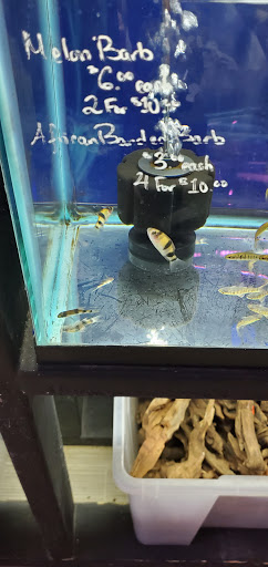 Aquarium «Tamco Aquarium», reviews and photos, 6310 Bay Pkwy, Brooklyn, NY 11204, USA