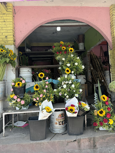 Floreria Santa Anita