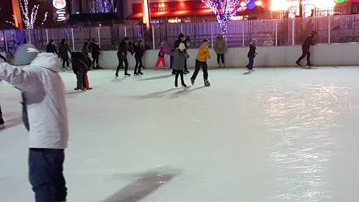 Tourist Attraction «Frozemont Ice Skating», reviews and photos, 5501 Park Pl, Rosemont, IL 60018, USA