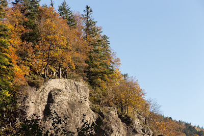 Roche du Cerf à Lepuix