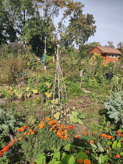 Perth Dupont Community Garden