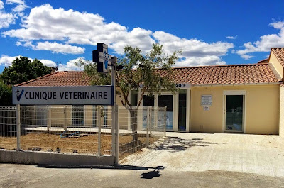 Clinique Vétérinaire des Garrigues à Juvignac