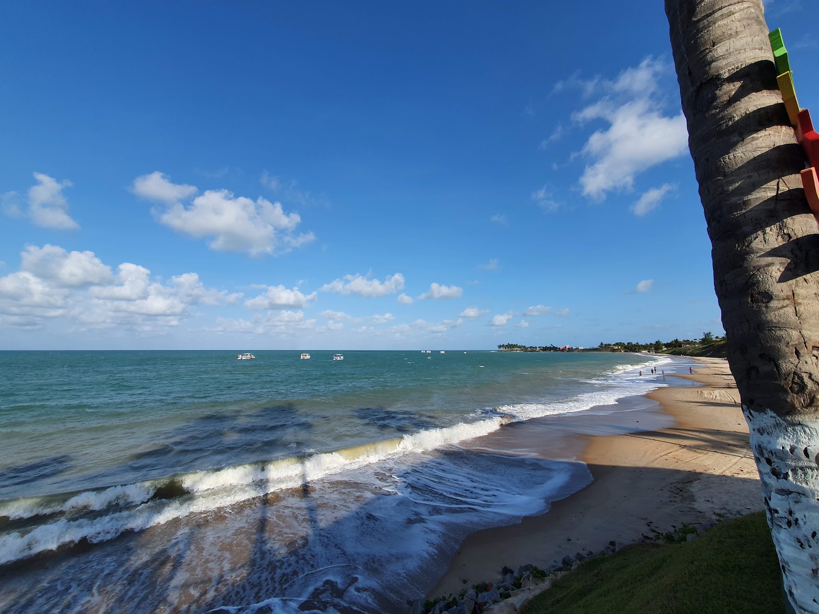 Praia de Maracajau photo #8