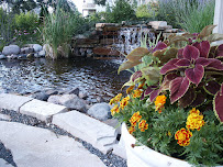 AMC Landscapes - Photo 6 - Car repair in , Round Lake Beach