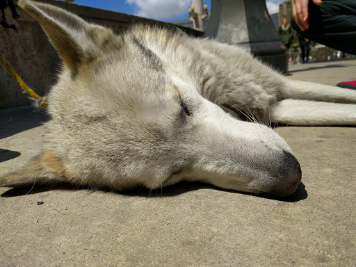 Park «Civic Center Park», reviews and photos, 101 14th Avenue, Denver, CO 80204, USA