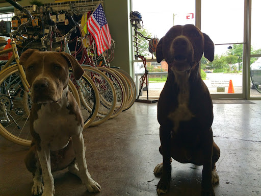 Bicycle Store «Urban Bicycle Gallery», reviews and photos, 4814 Nett St, Houston, TX 77007, USA