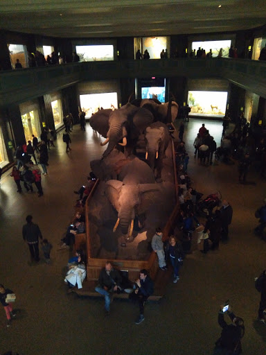 Gift Shop «The Museum Shop - American Museum of Natural History», reviews and photos, 200 Central Park West, New York, NY 10024, USA