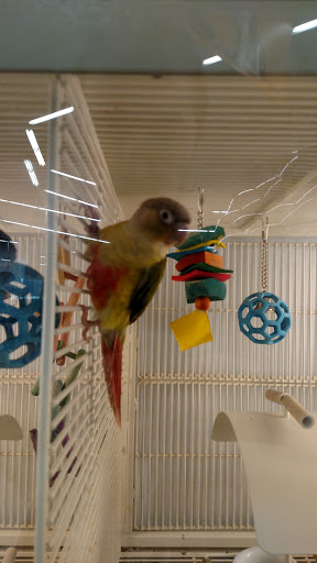 Pet Supply Store «Petco Animal Supplies», reviews and photos, 16434 N Marketplace Blvd, Nampa, ID 83651, USA