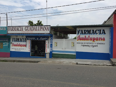 Farmacia Guadalupana Central Ote. 46, 20 De Noviembre, , 20 De Noviembre
