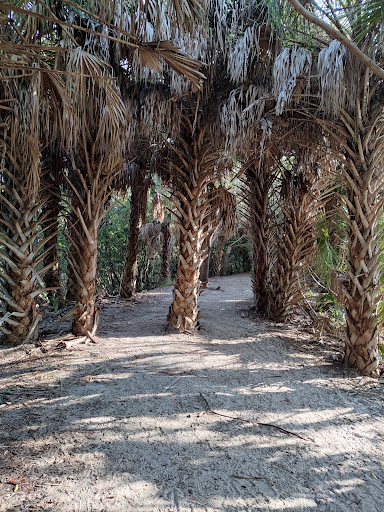 Park «Wall Springs Park», reviews and photos, 3725 Desoto Blvd, Palm Harbor, FL 34683, USA