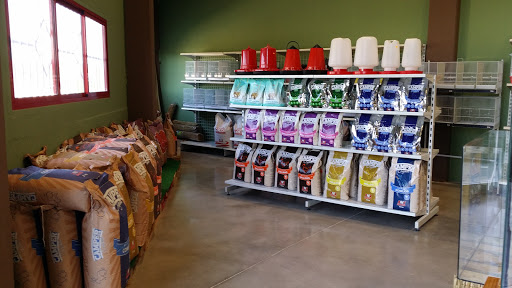 Colita | Tienda de animales en Náquera, Valencia