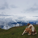Photo n°2 de l'avis de ivan.e fait le 27/10/2020 à 21:45 sur le  Cima Plan de Corones à Bruneck