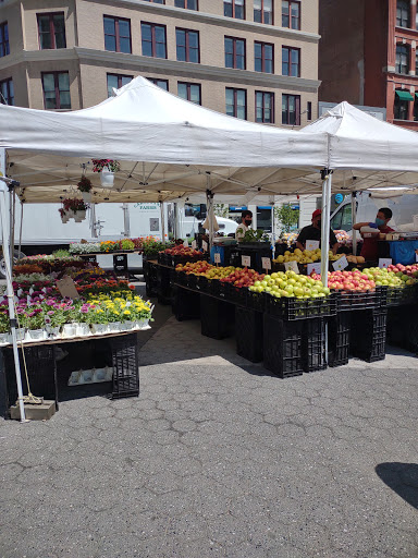 Pet Supply Store «Petco Animal Supplies», reviews and photos, 860 Broadway, New York, NY 10003, USA