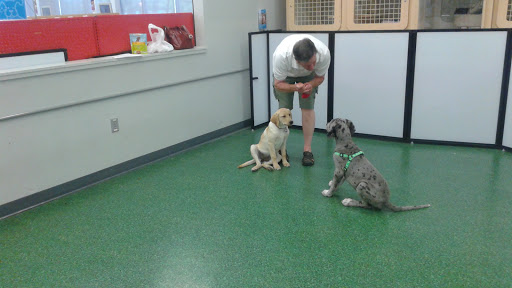 Pet Supply Store «Petco Animal Supplies», reviews and photos, 753 53rd Ave NE, Fridley, MN 55421, USA