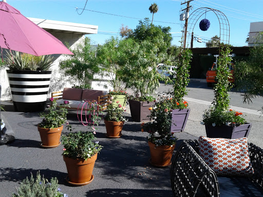 Hardware Store «Palm Desert Ace», reviews and photos, 74058 CA-111, Palm Desert, CA 92260, USA