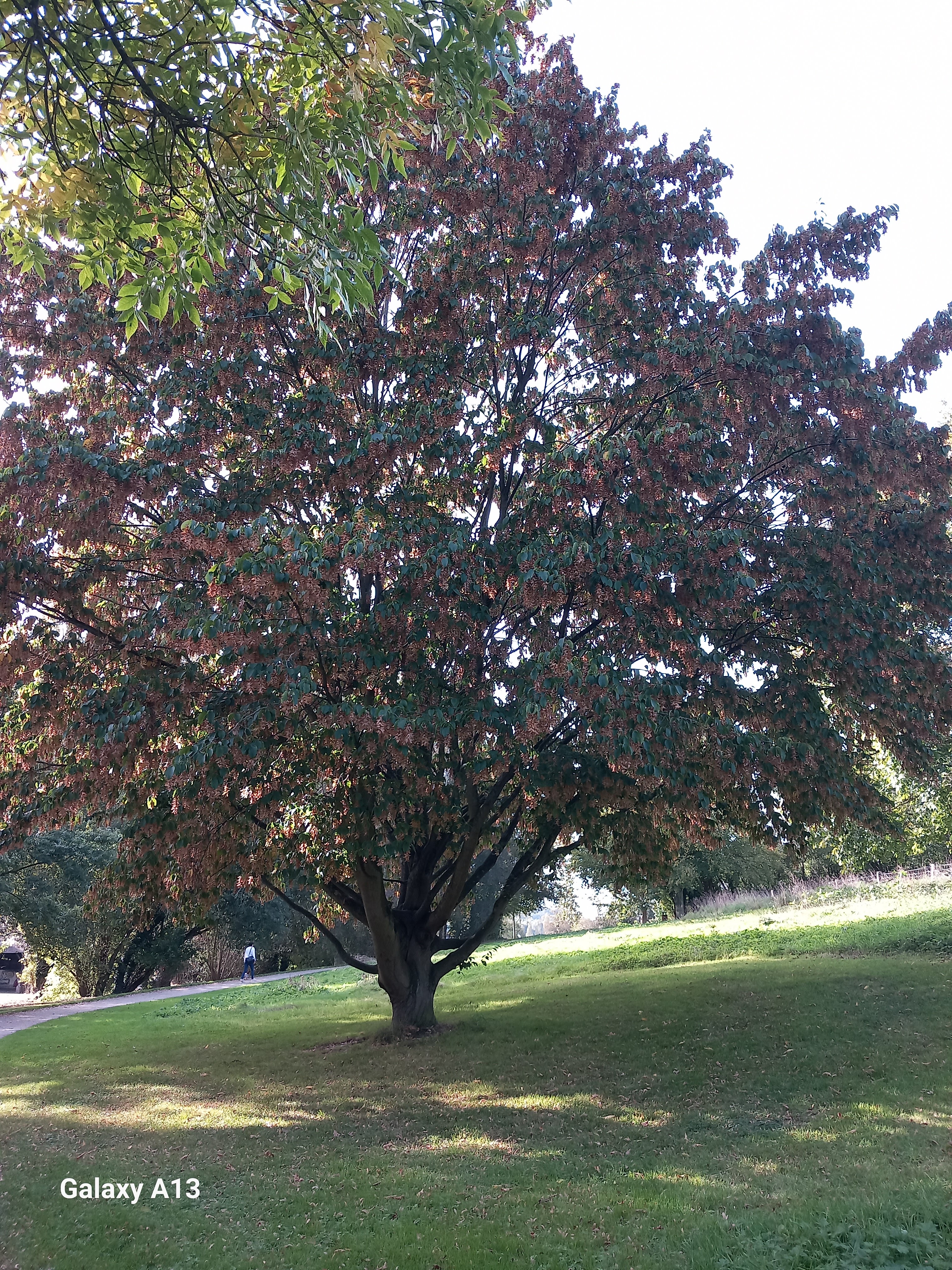 Photo n° 2 de l'avis de monique.o fait le 15/10/2023 à 10:06