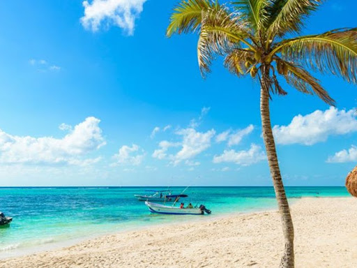 Travel Agency «Tickets Confirmed - Travel Agency», reviews and photos, 704 S Milwaukee Ave, Wheeling, IL 60090, USA