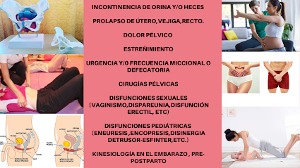KINESIG Kinesiología Integral y Rehabilitación del Piso Pélvico