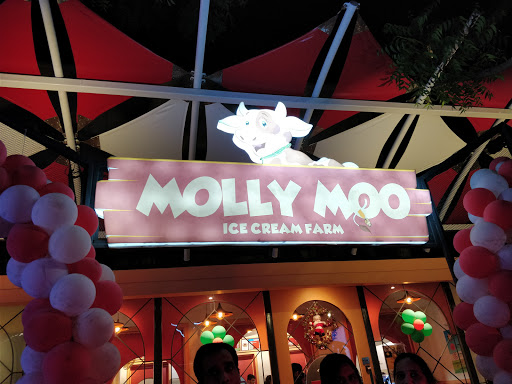 Molly Moo Ice Cream Cafe, C Scheme