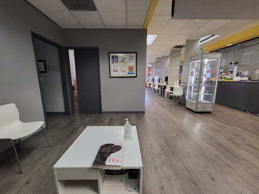 Optician «Site for Sore Eyes», reviews and photos, 300 W Portal Ave, San Francisco, CA 94127, USA