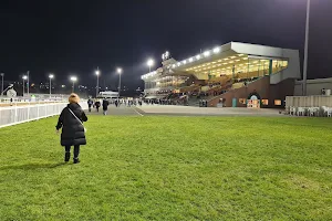 Wolverhampton Racecourse image