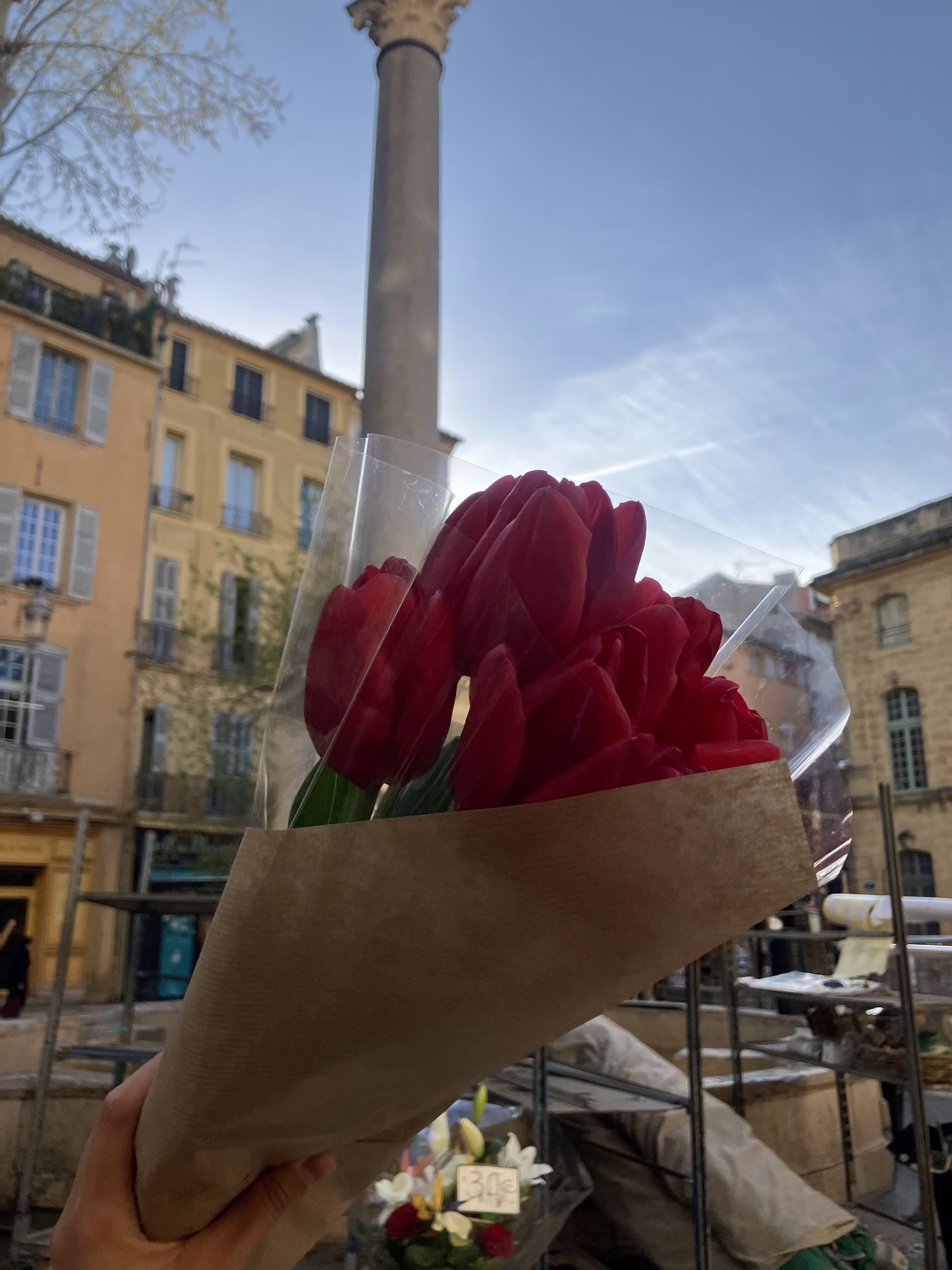 Photo n° 2 de l'avis de Sofía.e fait le 31/03/2024 à 12:44