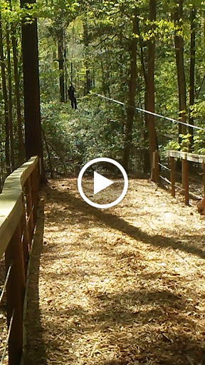 Recreation Center «Go Ape Zip Line & Treetop Adventure - Blue Jay Point County Park», reviews and photos, 3200 Pleasant Union Church Rd, Raleigh, NC 27614, USA