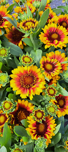 Discount Store «Walmart», reviews and photos, County Rd 513, Clinton, NJ 08809, USA