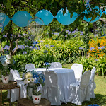 Photo n°5 de l'avis de Fulvio.o fait le 22/07/2023 à 08:08 sur le  La Terra Degli Aranci à Naples