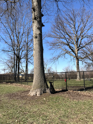 Dog Park «WOOFhaven Dog Park», reviews and photos, 23101 Hall Rd, Woodhaven, MI 48183, USA