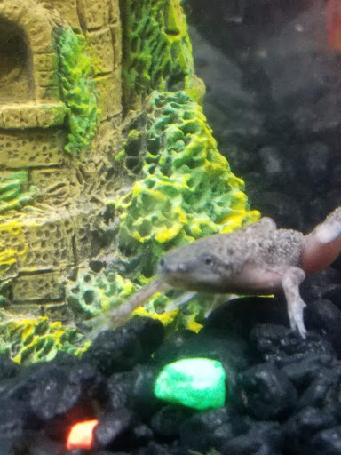 Pet Supply Store «PetSmart», reviews and photos, 4190 Vinewood Ln N, Plymouth, MN 55442, USA