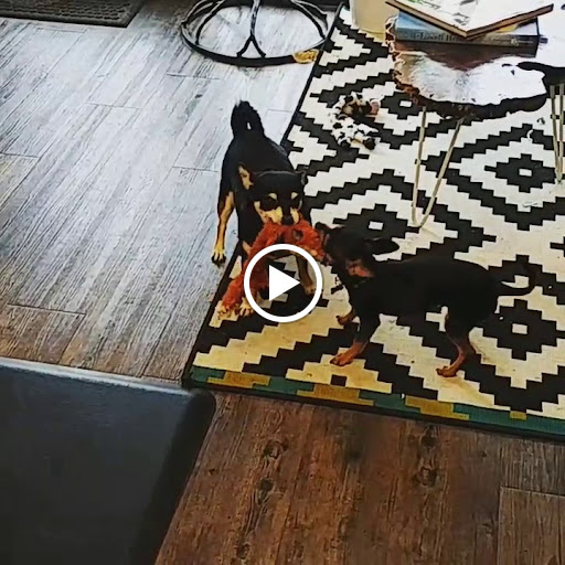 Hair Salon «Cathedral Park Salon», reviews and photos, Cathedral Park Salon, 7227 N Philadelphia Ave #103, Portland, OR 97203, USA