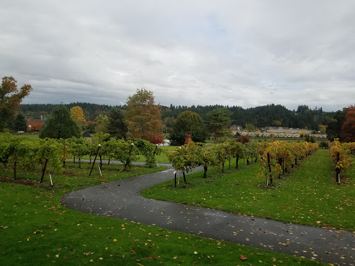 Traditional wineries Seattle