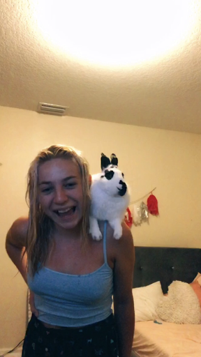 Pet Supply Store «Pet Supermarket», reviews and photos, 6307 N 9th Ave #1, Pensacola, FL 32504, USA