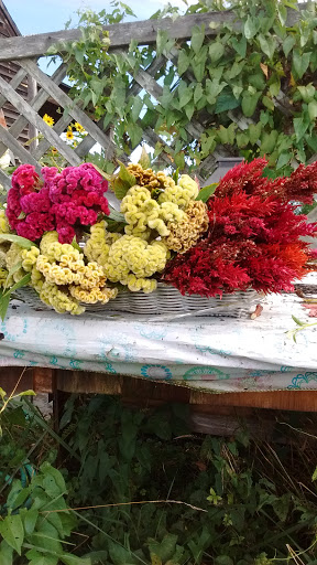 Farm «Greenleaf Farms», reviews and photos, 24 Littleworth Rd, Dover, NH 03820, USA