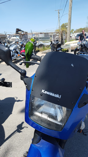 Used Motorcycle Dealer «PRECISION MOTORCYCLE», reviews and photos, 129 Southgate Ave, Virginia Beach, VA 23462, USA