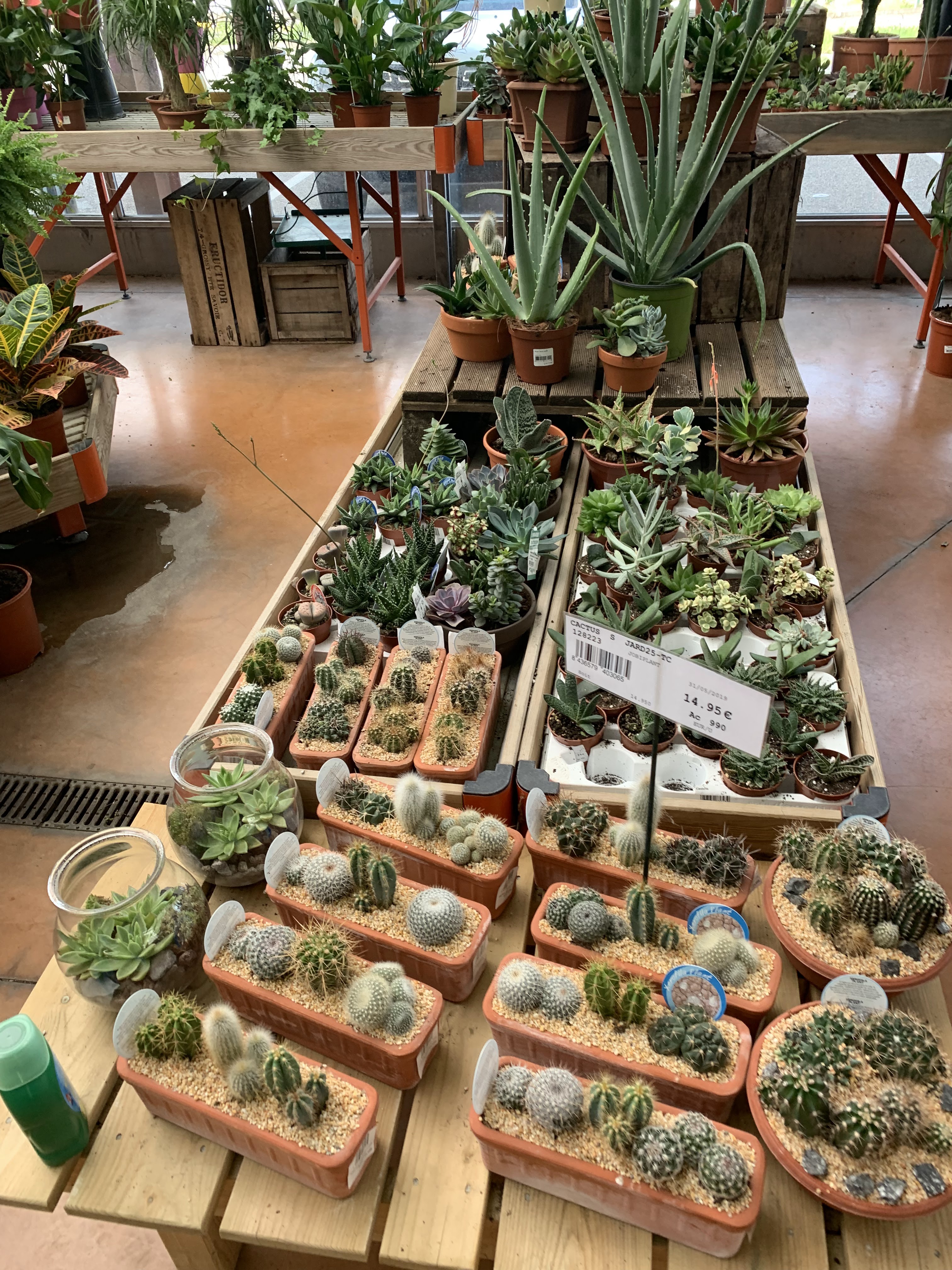 Photo n° 6 de l'avis de Oxmo.X fait le 19/06/2019 à 17:05