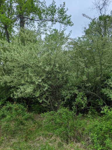 Nature Preserve «Schiff Natural Lands Trust/Schiff Nature Preserve», reviews and photos, 339 Pleasant Valley Rd, Mendham, NJ 07945, USA