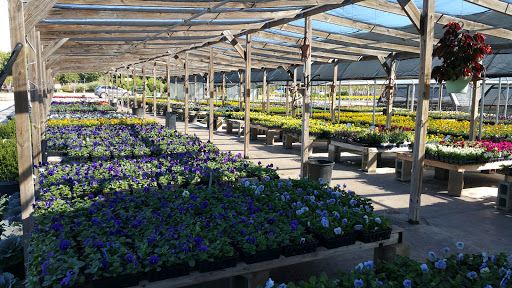 Orchid grower Carrollton