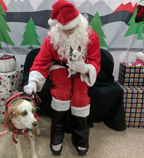 Pet Supply Store «PetSmart», reviews and photos, 3335 Cobb Pkwy NW #400, Acworth, GA 30101, USA