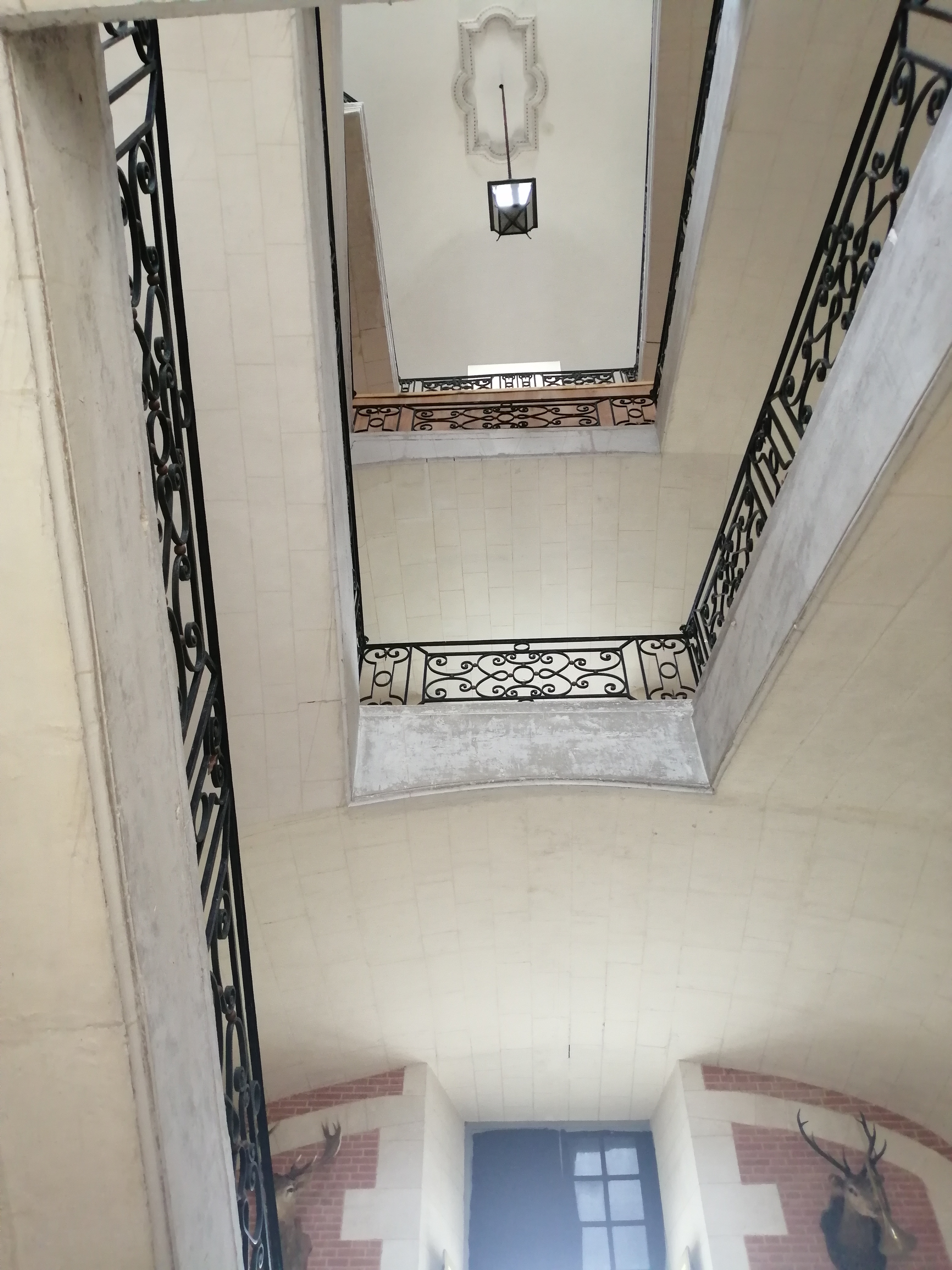 Photo n° 13 de l'avis de Virginie.e fait le 31/07/2022 à 13:13