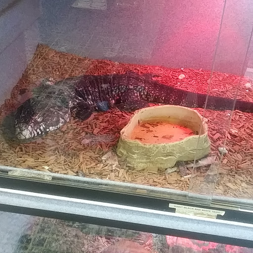 Pet Store «Cold Blooded Pets», reviews and photos, 176 Main St, Acushnet, MA 02743, USA