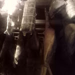 Photo n°12 de l'avis de Elvis.e fait le 03/09/2021 à 06:45 sur le  Osteria Magona à Bolgheri