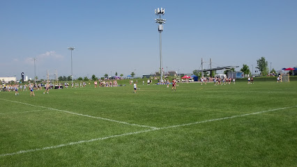 Field 6