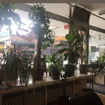 Photo n°8 de l'avis de Ankita.a fait le 12/01/2020 à 19:48 sur le  Pizza Amore à Wörth am Rhein