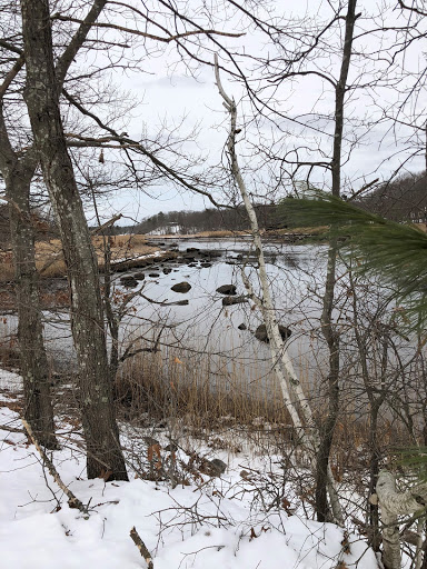 Park «Sweets Knoll State Park», reviews and photos, 1387 Somerset Ave, Dighton, MA 02715, USA