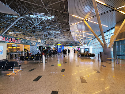Aeropuerto Internacional de Moscú-Vnúkovo